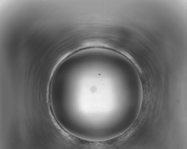 X0000054390815200508051646