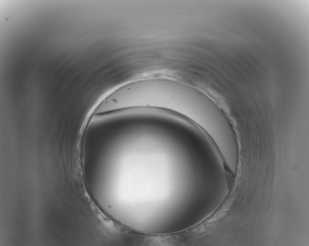 X0000054390816200508051646