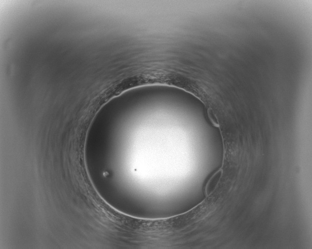 X0000054390817200508051645