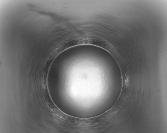 X0000054390819200508051645