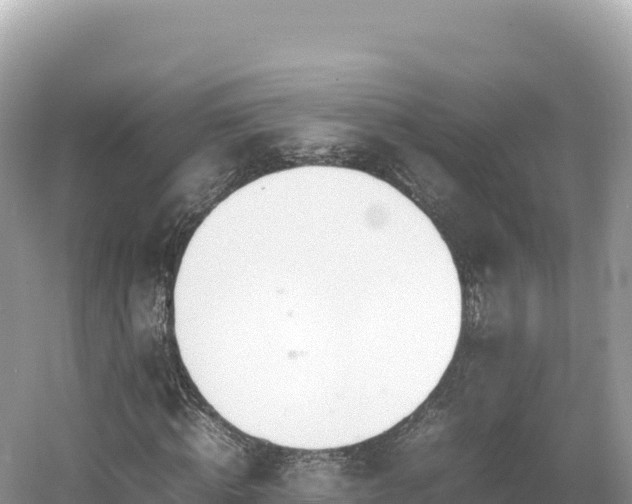 X0000054390820200508051645