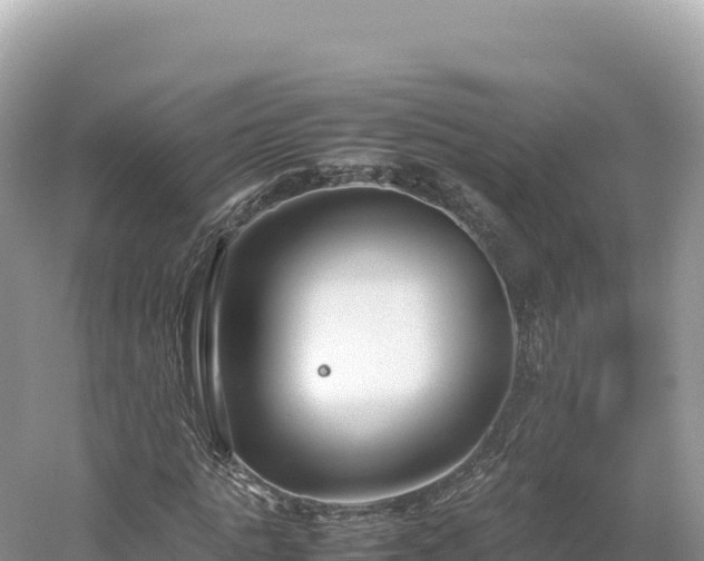 X0000054390821200508051645