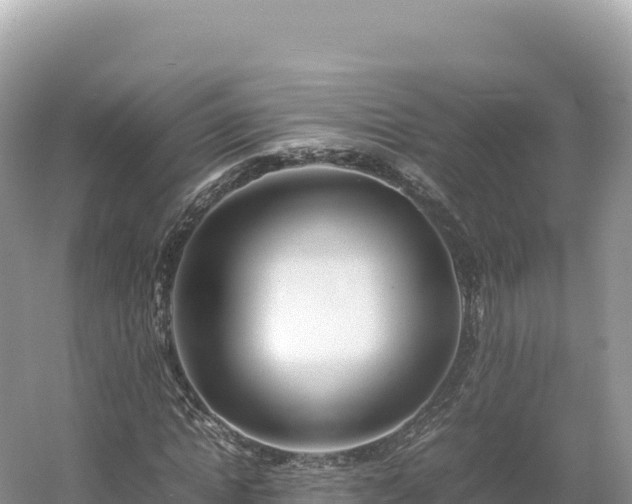 X0000054390822200508051645