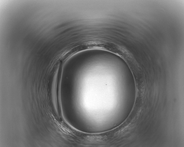 X0000054390825200508051645