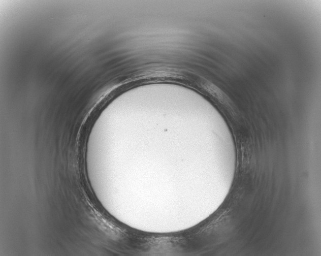 X0000054390828200508051645