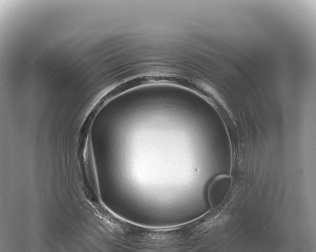 X0000054390829200508051645