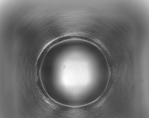 X0000054390830200508051645