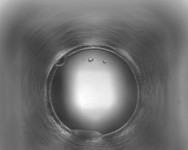 X0000054390831200508051645