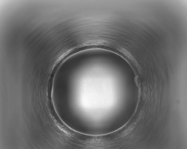 X0000054390834200508051645