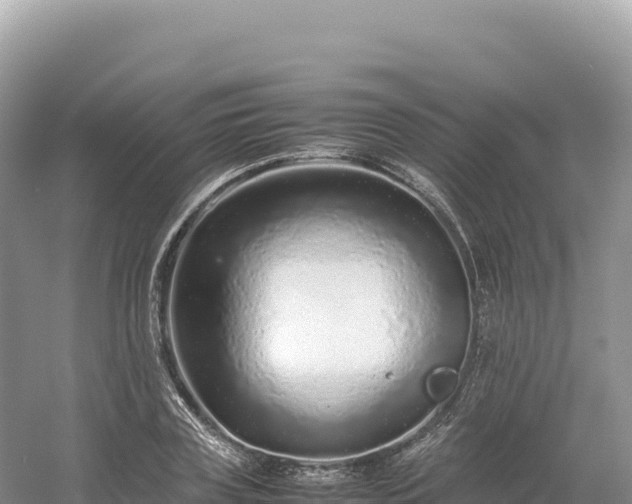 X0000054390835200508051645