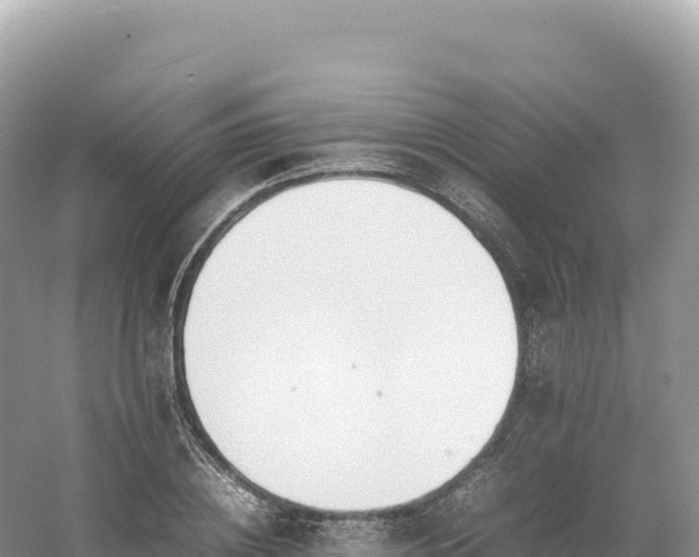 X0000054390836200508051645