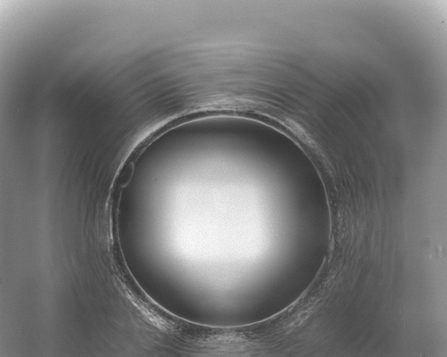 X0000054390838200508051645