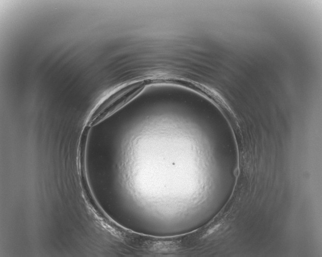 X0000054390839200508051645