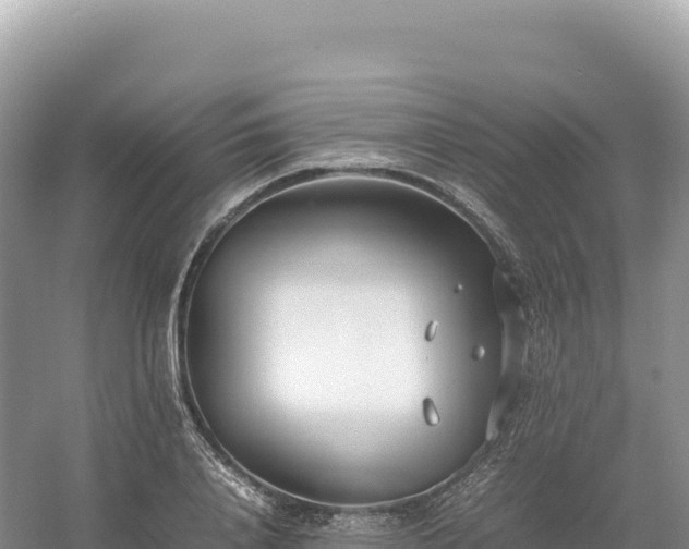 X0000054390840200508051645