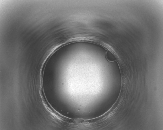 X0000054390844200508051645