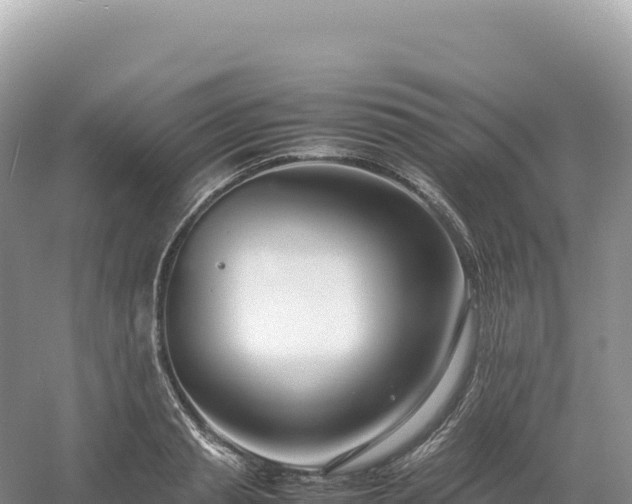 X0000054390845200508051645