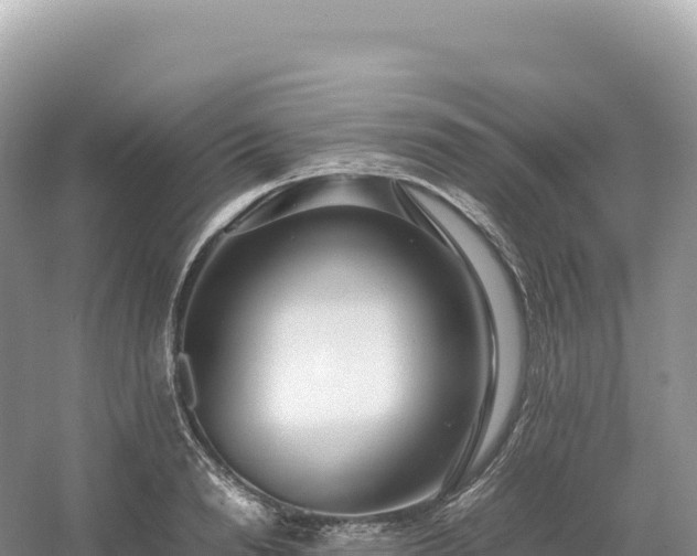 X0000054390846200508051645