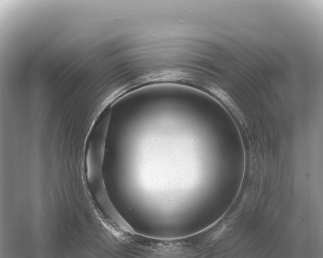 X0000054390850200508051645