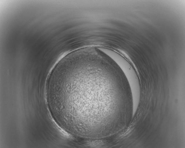 X0000054390851200508051645