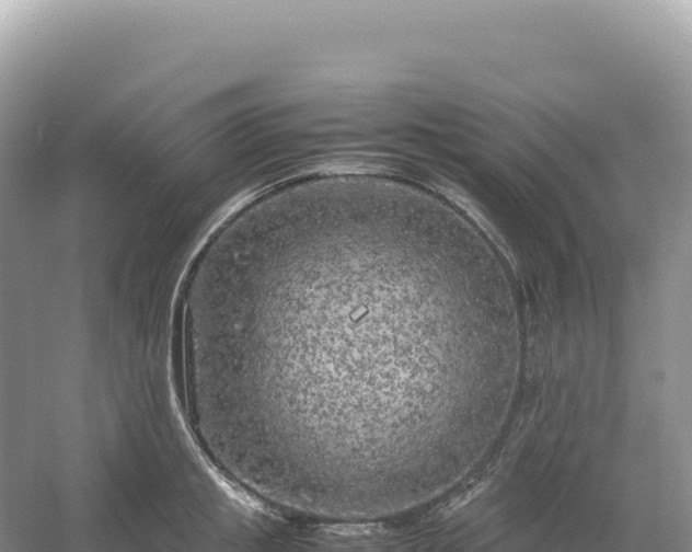 X0000054390853200508051645