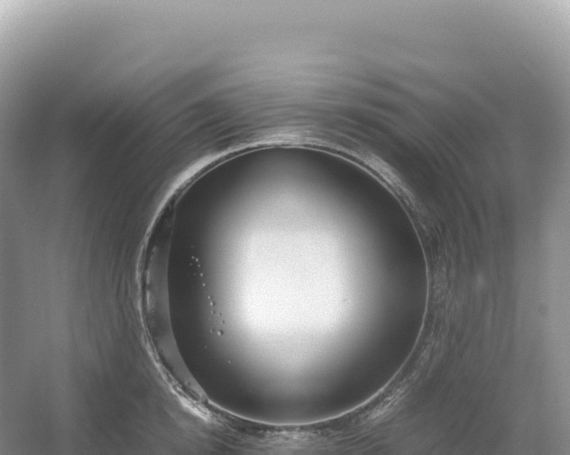 X0000054390854200508051645