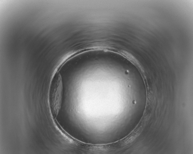 X0000054390855200508051645