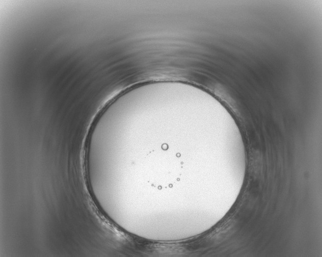 X0000054390856200508051645