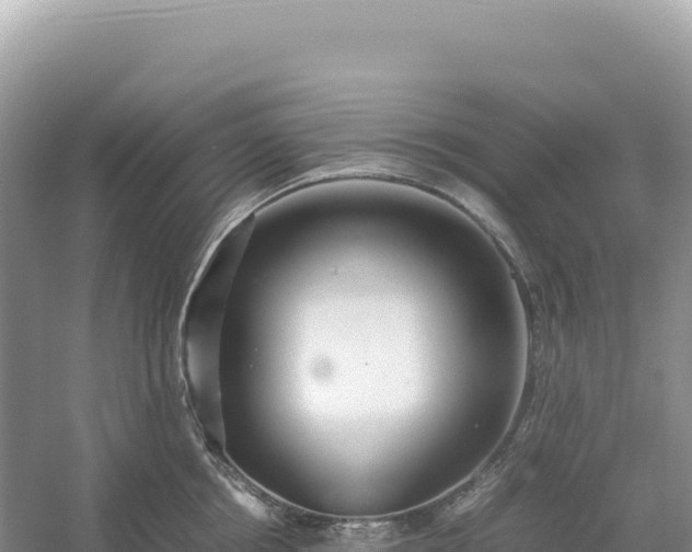 X0000054390858200508051645