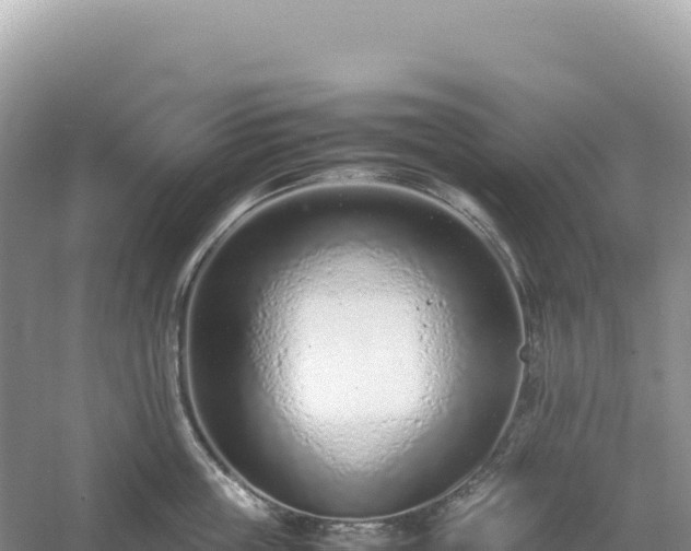 X0000054390859200508051645