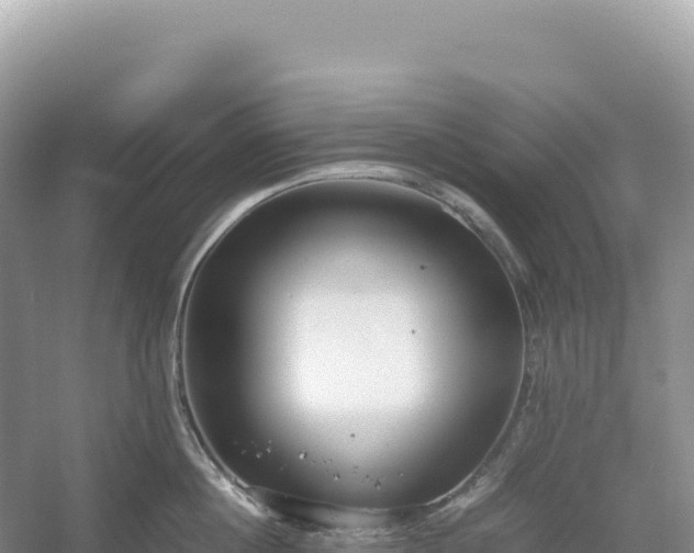 X0000054390860200508051646