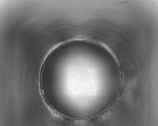 X0000054390861200508051646