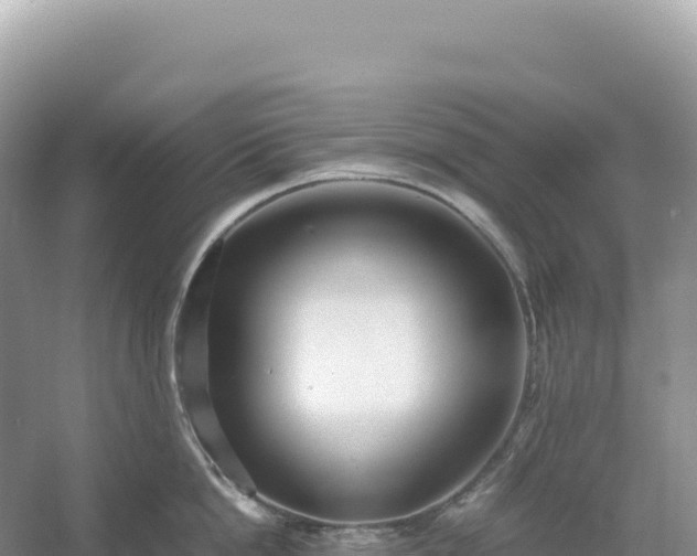 X0000054390862200508051646