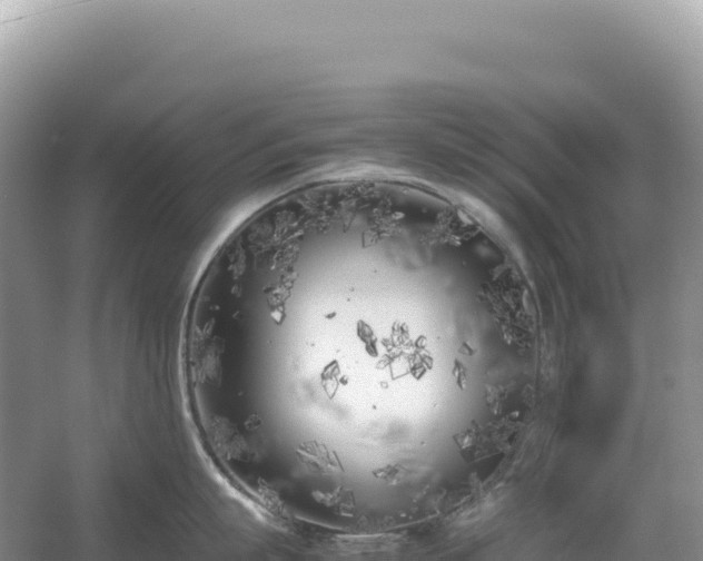 X0000054390863200508051646