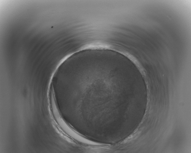 X0000054390864200508051646