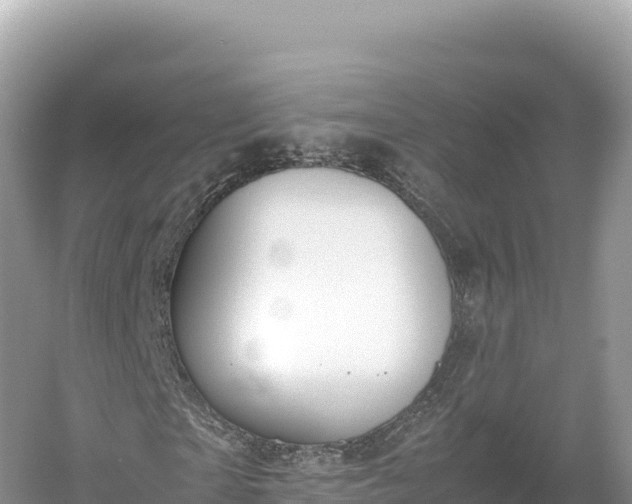 X0000054390865200508051645