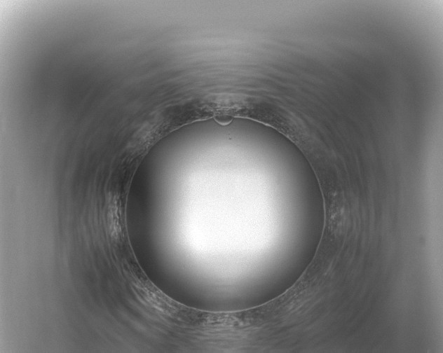 X0000054390866200508051645