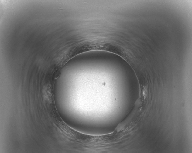 X0000054390867200508051645