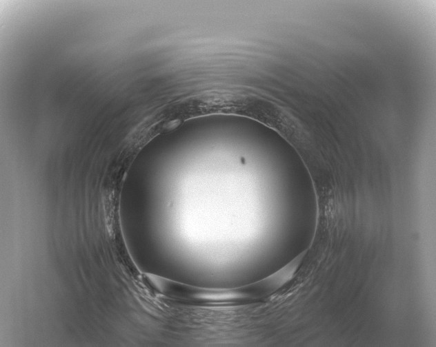 X0000054390868200508051645