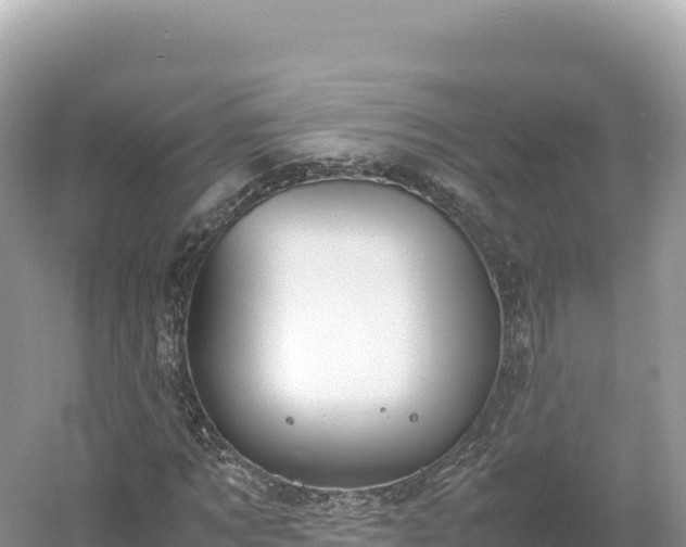 X0000054390869200508051645