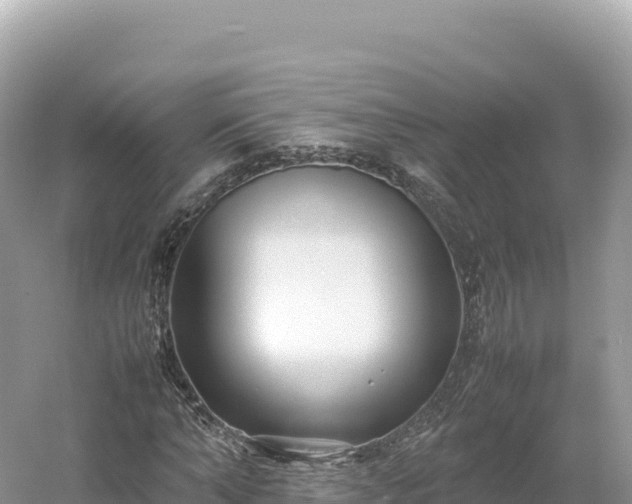 X0000054390870200508051645