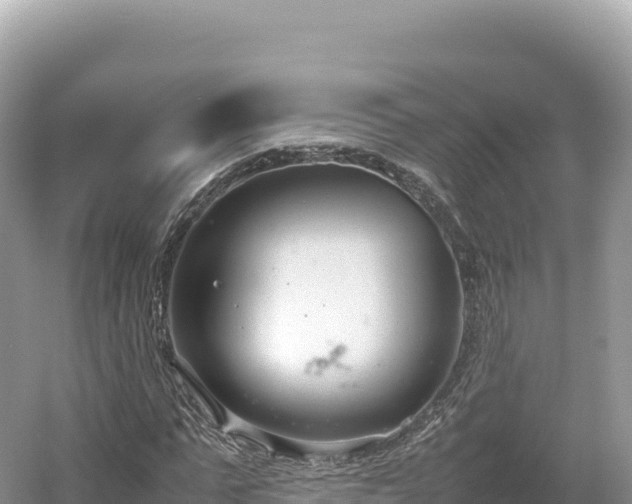 X0000054390871200508051645