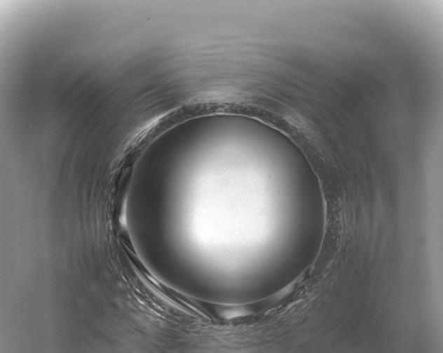 X0000054390872200508051645