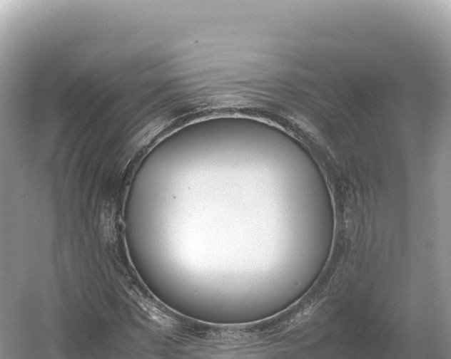 X0000054390873200508051645