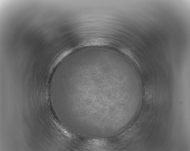 X0000054390874200508051645