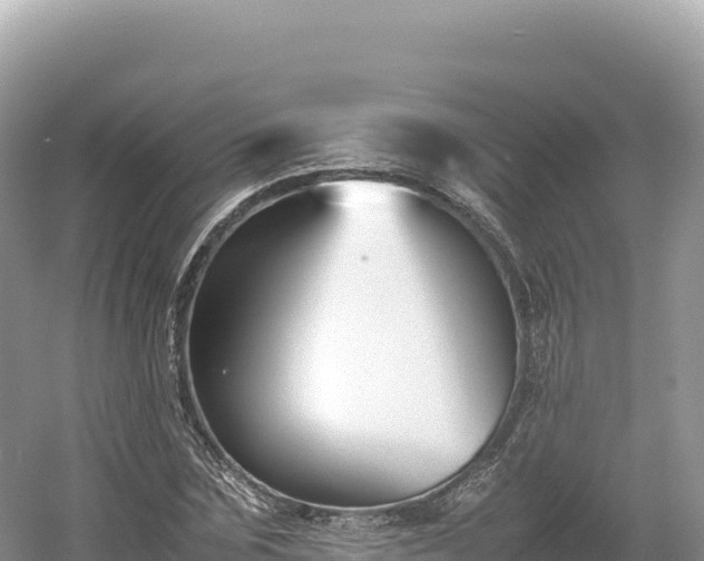 X0000054390875200508051645