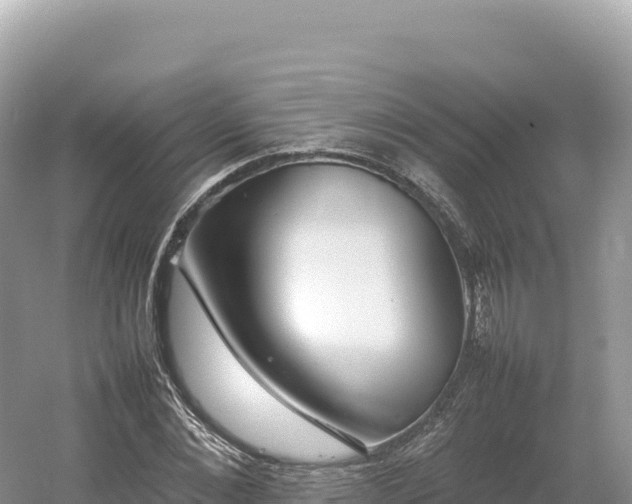 X0000054390876200508051645