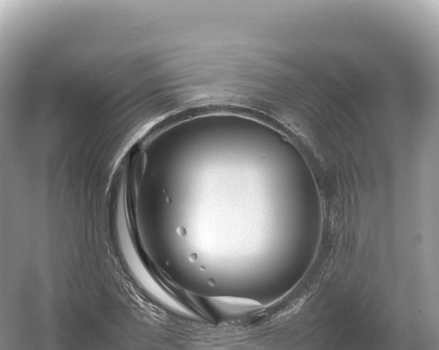 X0000054390877200508051645