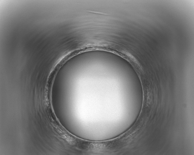 X0000054390878200508051645