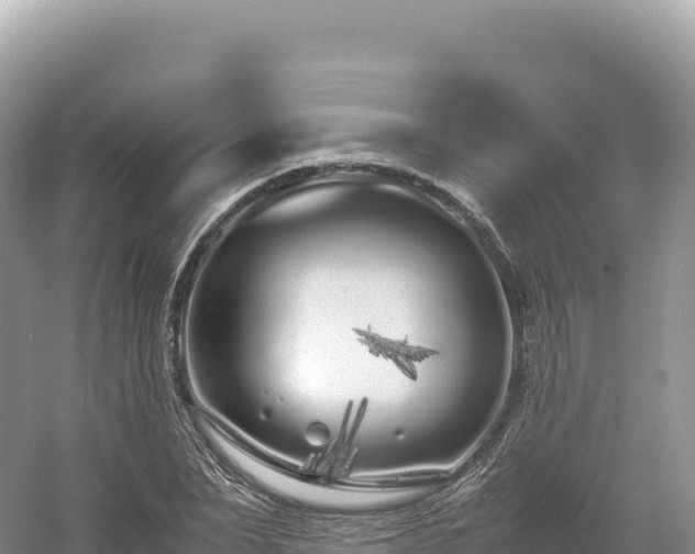 X0000054390879200508051645