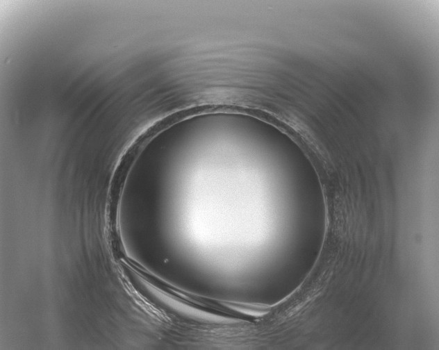 X0000054390880200508051645